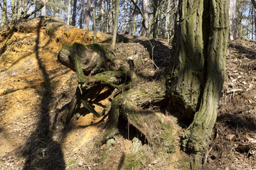 Colorful autumn Nature near Prague, Czech Republic