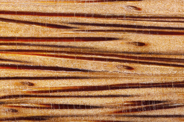 Wood background