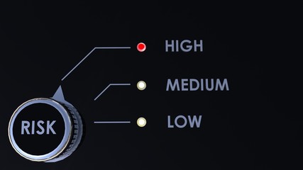 Risk Management or Optimization