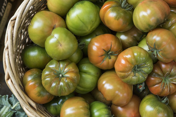Pomodori verdi e rossi in una cesta