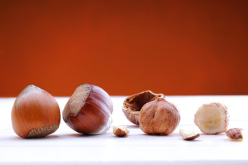 Hazelnuts on a white table and background brown front view
