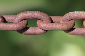 rusty steel chain against a blurry green background