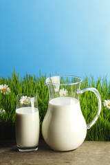 Milk jug and glass on flower field