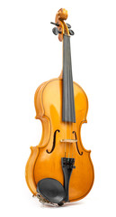Fototapeta premium violin on white background