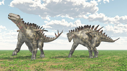 Fototapeta na wymiar Dinosaur Huayangosaurus