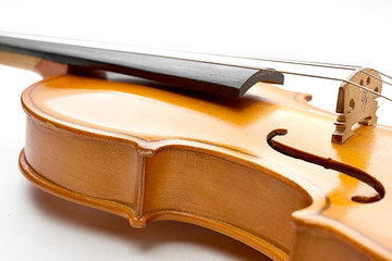 Obraz premium violin on white background