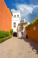 beautiful streets full of typical color of the Andalusian city o