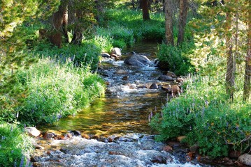Idylle im Yosemite National Park