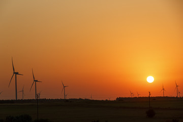 Fototapeta premium Windmills silhouettes at sunrise