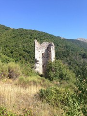 Torre