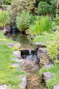 Stream at botanical garden