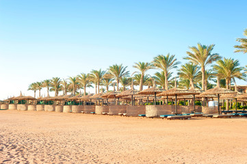 Naklejka premium Row of wattled straw umbrellas on sunny beach. Egypt. Sharm-el-s