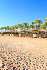 Row of wattled straw umbrellas on sunny beach. Egypt. Sharm-el-s