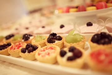 Mini fruit tarts
