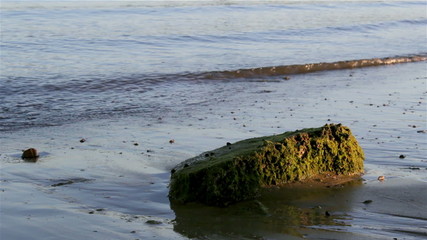 Waves background at Ria Formosa Natural Reserve