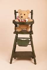 Bear in child seat