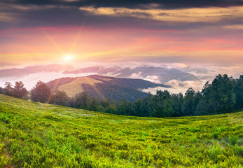 Dramatic summer sunset in the foggy mountains