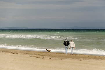 Älteres Paar mit Hunden geht bei Gewitterstimmung am Strand
