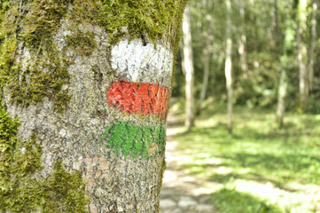 Mark of a long distance footpath and a local path