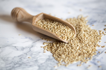 Sesam mit Holzschaufel, Studio