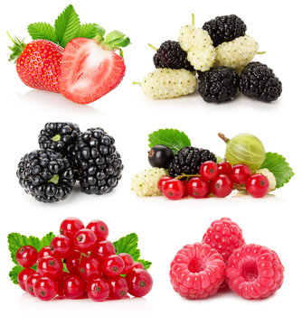 collection of berries isolated on a white background