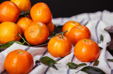 brunch of tangerines
