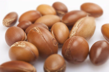 seeds of argan on white,a close up on white background