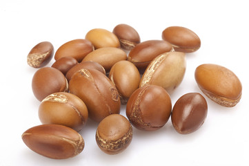 seeds of argan on white,a close up on white background