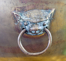 brass door knocker lion head