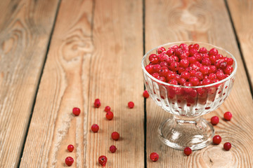 Frozen red currant berries in a glass bowl