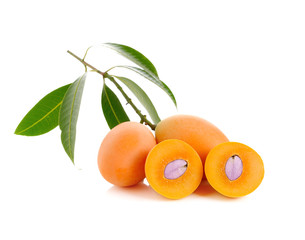 sweet Marian plum thai fruit isolated on white background (Mayon