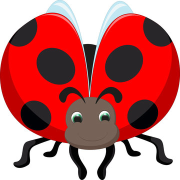 cute ladybuug cartoon