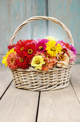 Fototapeta na wymiar Bouquet of zinnia flowers