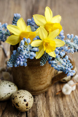 Obraz na płótnie Canvas Bouquet of daffodils and blue muscari (Grape hyacinth)