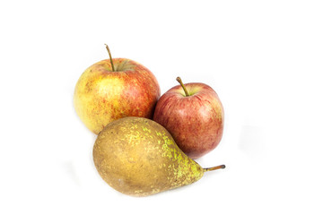 Fruit