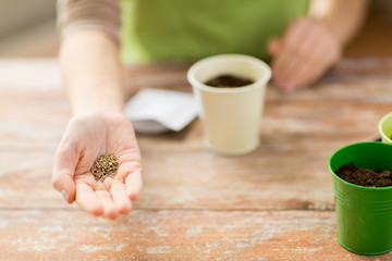 close up of woman hand holding seeds