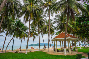Fototapeta na wymiar guest houses among palm trees, Vietnam