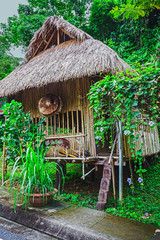 Naklejka premium hut on the road in the jungle on the Phuket in Thailand