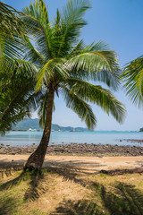 Fototapeta premium Beautiful tropical beach at island Koh Chang