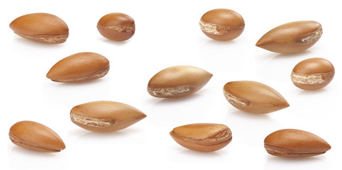 seeds of argan on white,a close up on white background