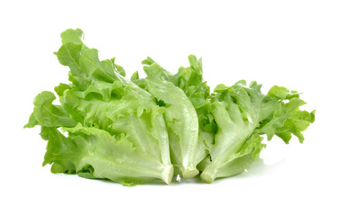 lettuce isolated on white background