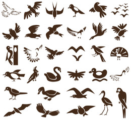 birds icons on white