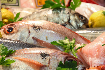 Pesce fresco in vendita 