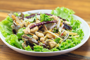Crispy baits spicy salad