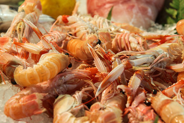 Gamberi, Crostacei