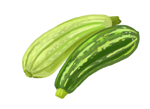picture of two zucchini
