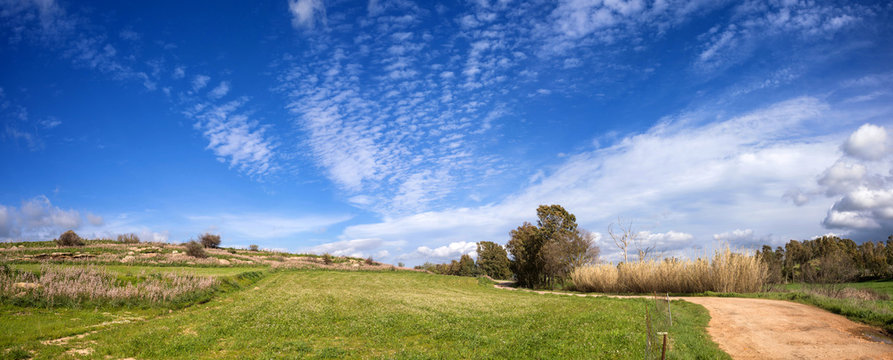 Sardegna, strada di campagna