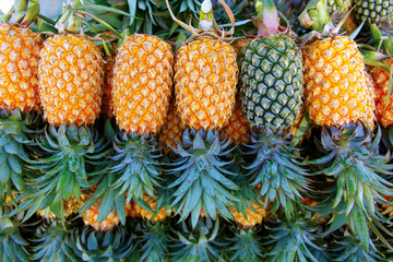 A lot of pineapple fruit background