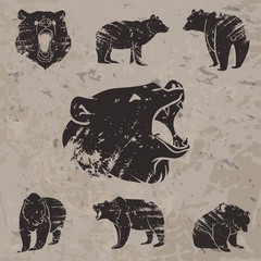 Set of different bears 3