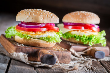 Tasty burger. with fried egg and vegetables